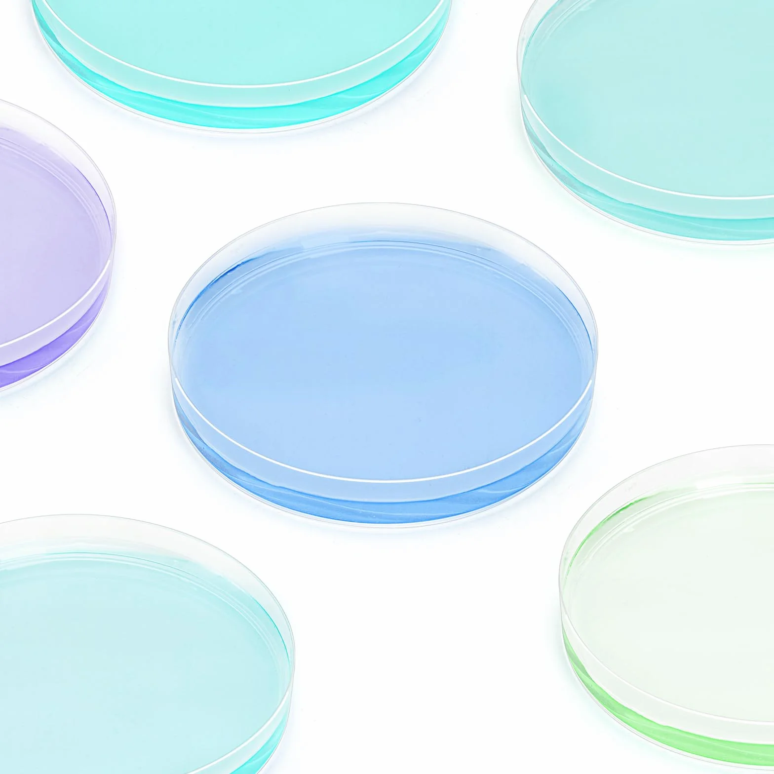 Lawei Estériles Placas de Petri Plástico 90 mm x 15 mm con Cuentagotas para Cultivo Bacteriano