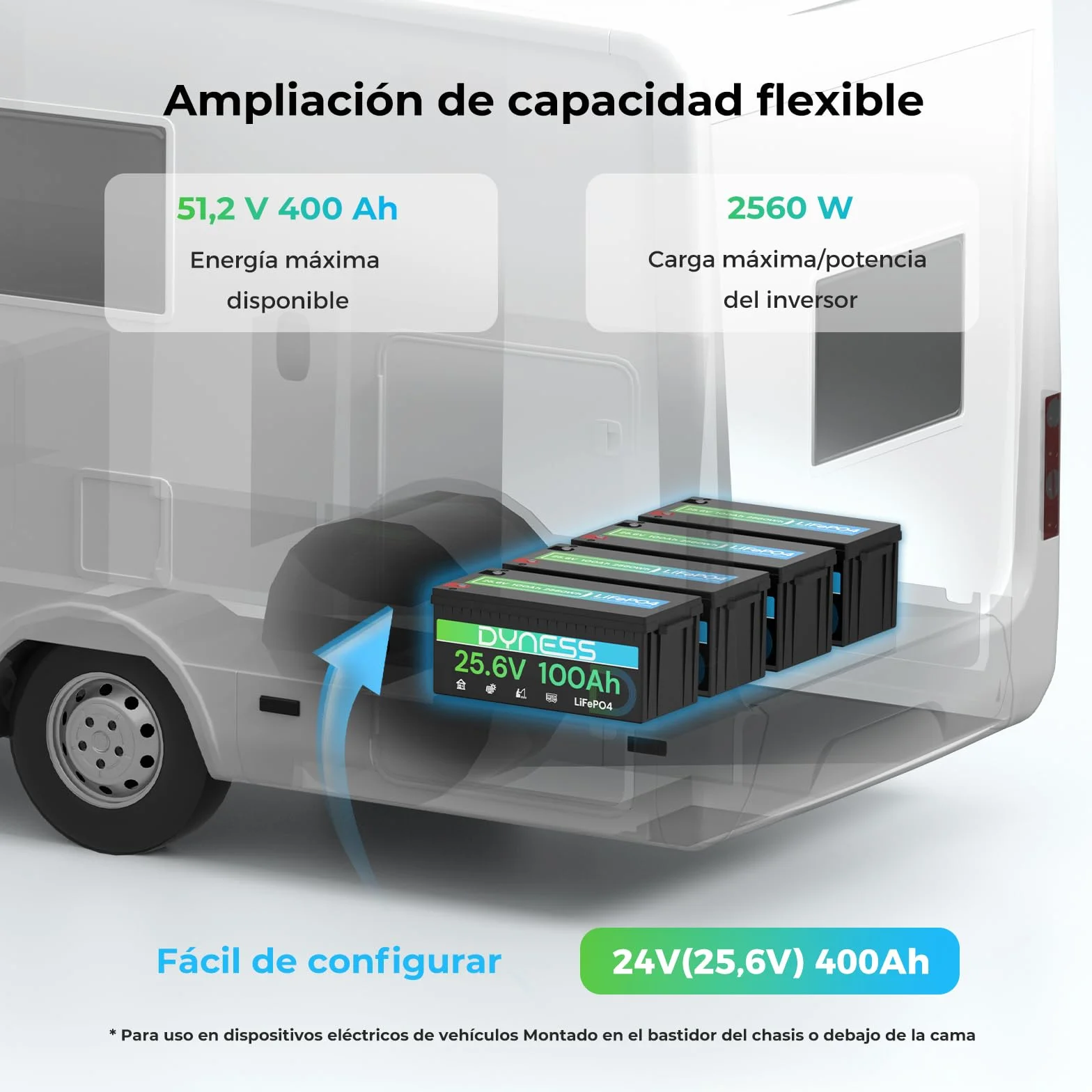 Dyness Batería Litio 24V 100Ah LiFePO4 con BMS 100A Protección Bajas Temperatura para Camper Solar
