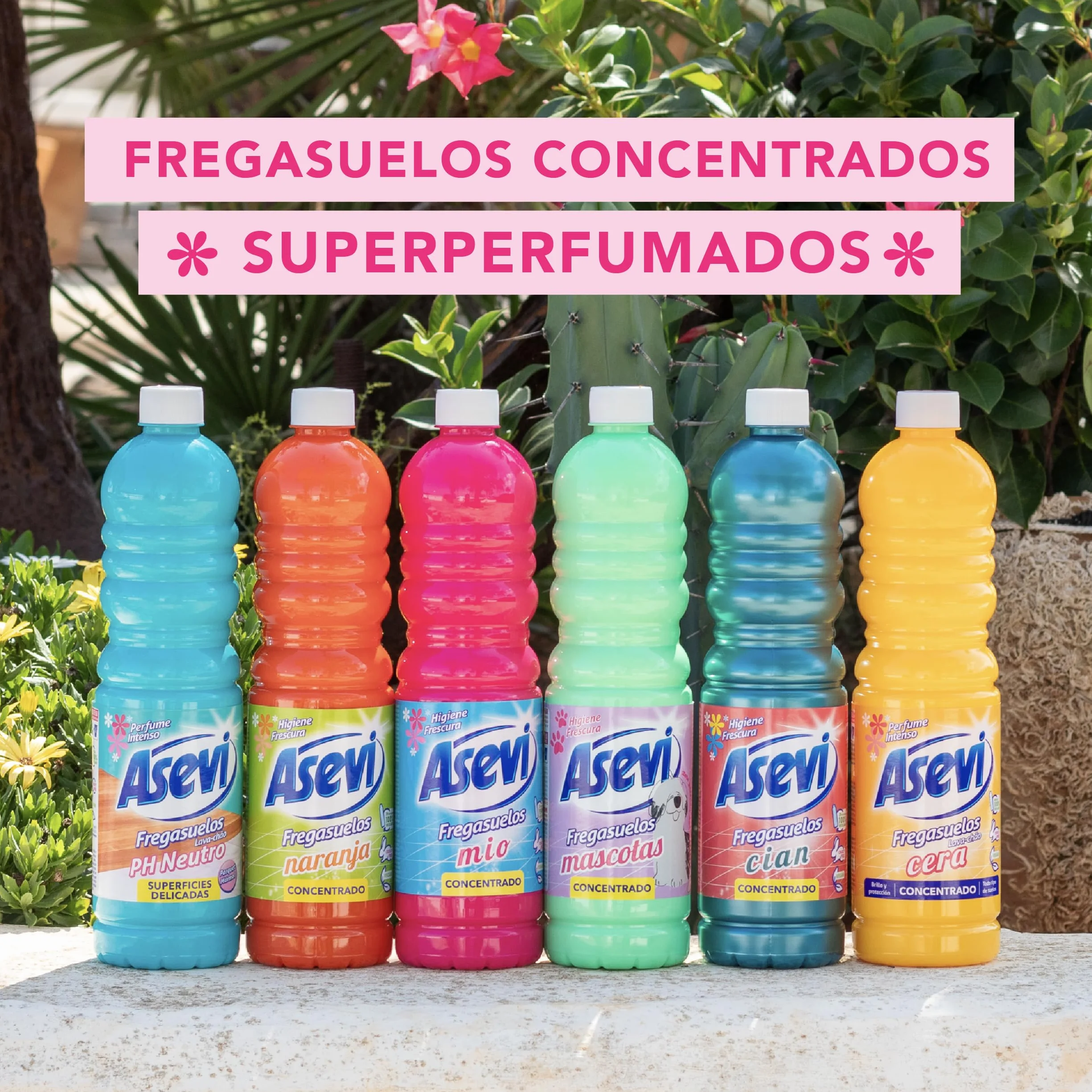 Asevi Fregasuelos Mascotas Concentrado 5 Litros pH Neutro