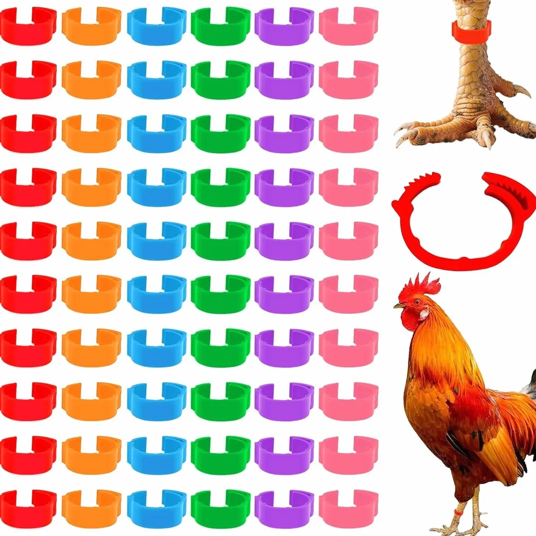 JEYORZY 60 Pcs Gallinas Anillas, Anillo de Pie de Pollo, Anillos de Marcado para Pollos, Gansos, Patos