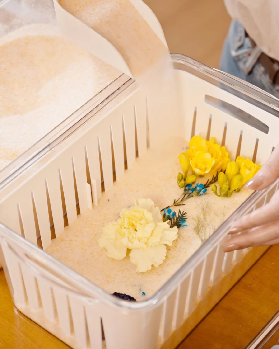 Wisedry Recipiente de Gel de Sílice para Secar Flores, Recupera Flores Secas, Caja con Alfombrilla y Bolígrafo