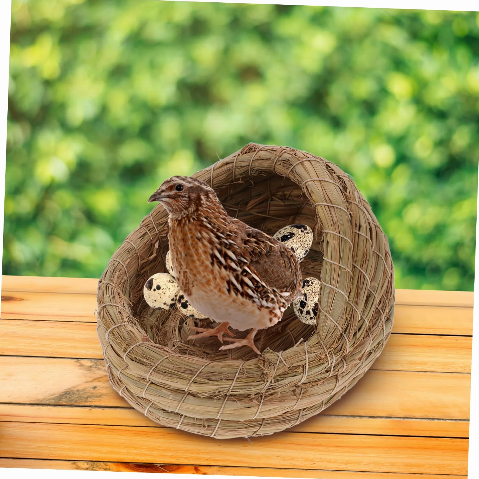 HANABASS 2 Piezas Nido para Gallinas Ponedoras de Paja Natural