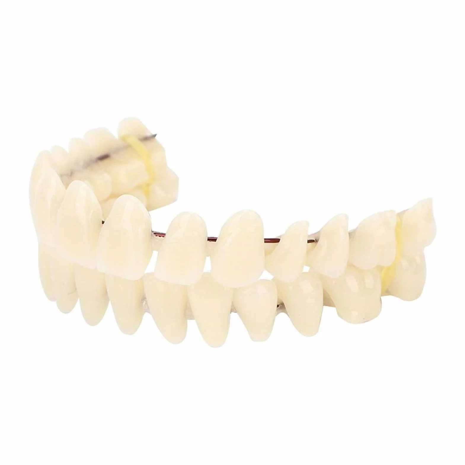 Juego de dientes postizos de resina, modelo de enseñanza dental, 280 piezas, suministro dental