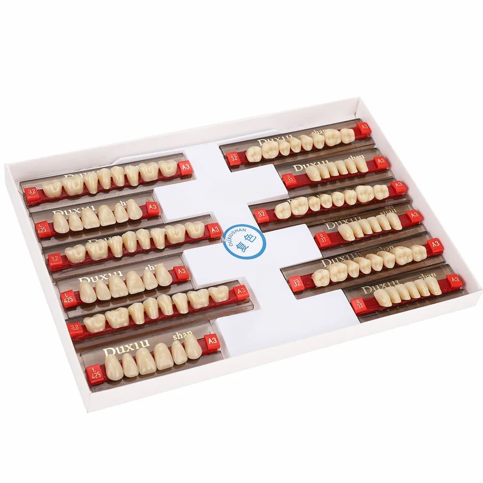 Diente de Resina Firme Acabado Fino Superficie de Limpieza Dientes Falsos Profesional para Modelos Halloween