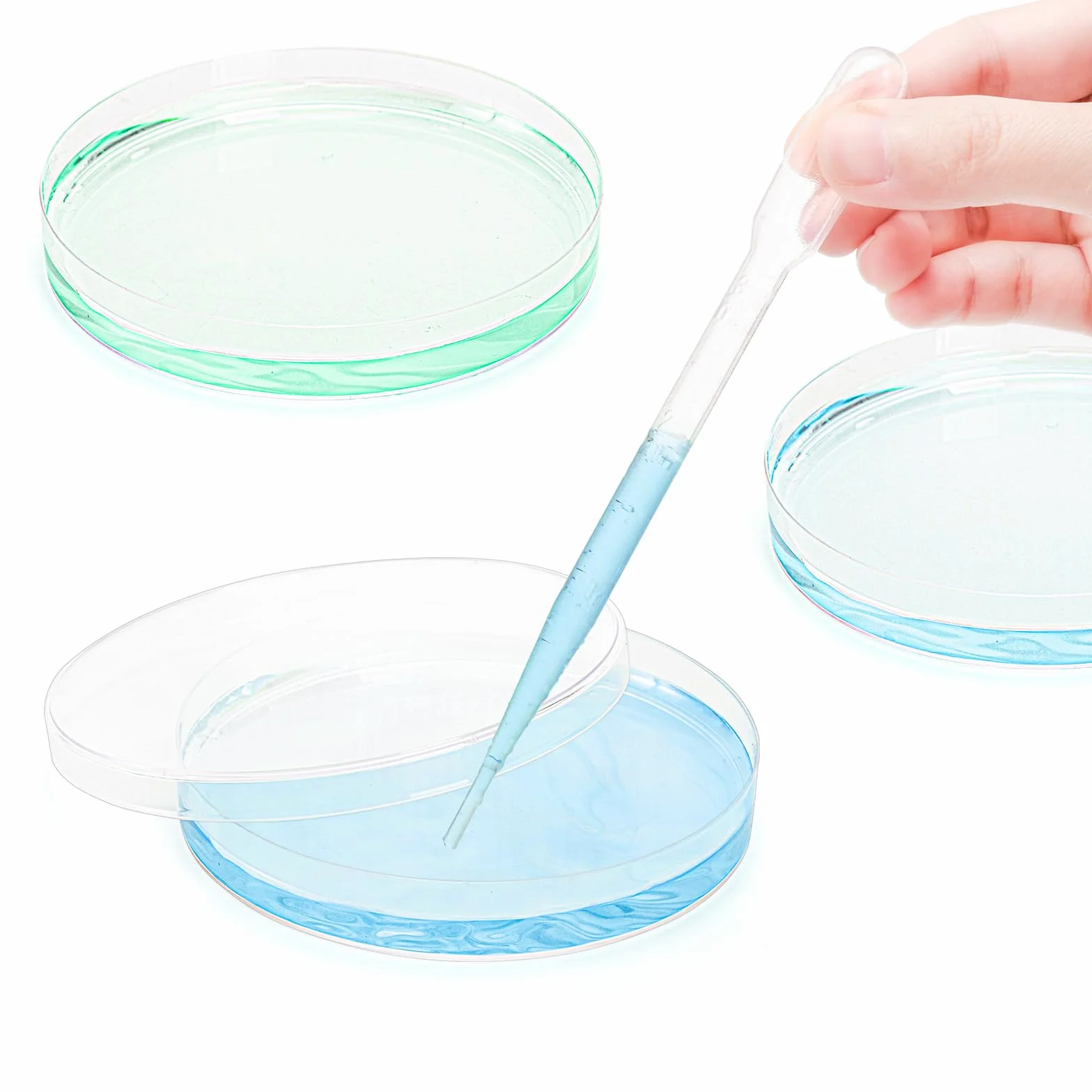 Lawei Estériles Placas de Petri Plástico 90 mm x 15 mm con Cuentagotas para Cultivo Bacteriano