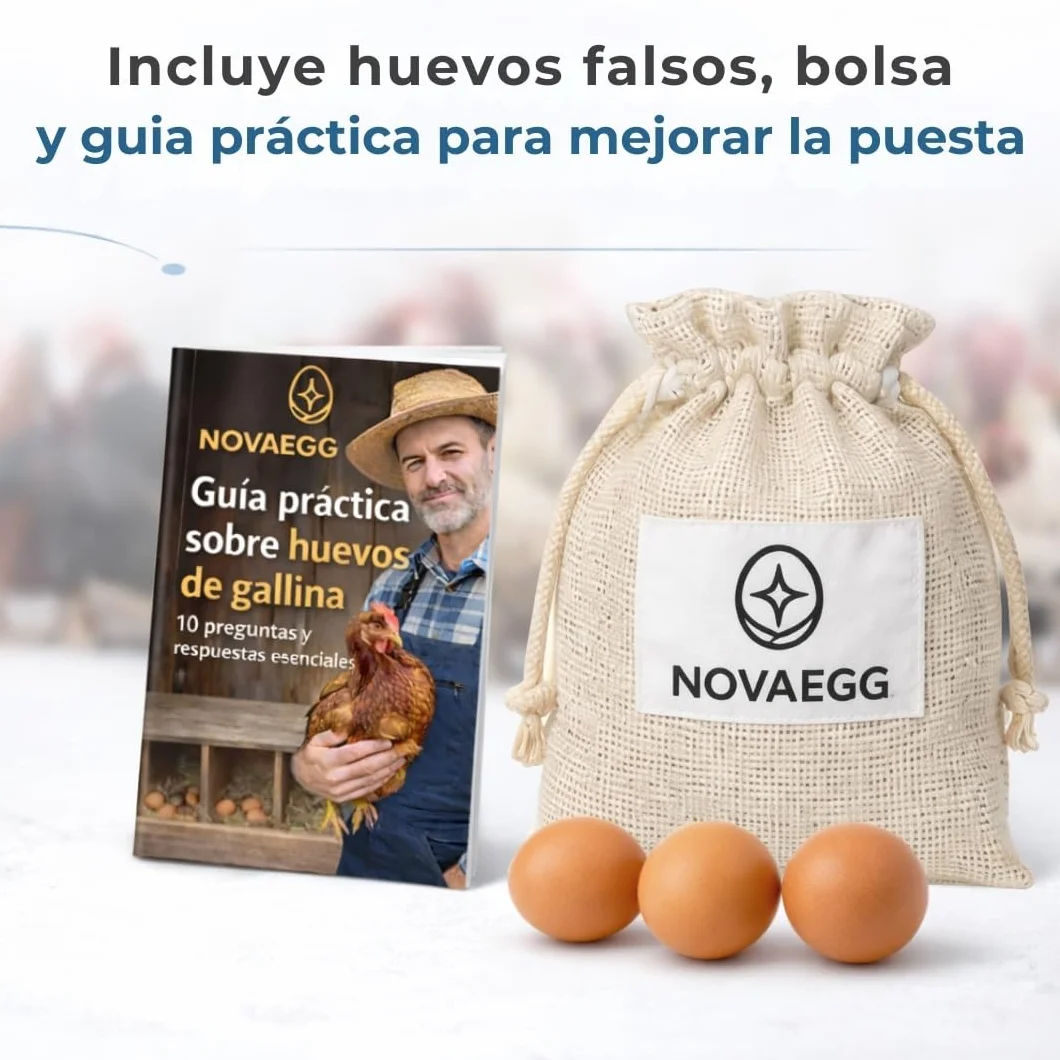 PONEDEROS para GALLINAS con 3 Huevos Falsos, Bolsa de Tela, Manual y Guía de Incubación - Nido Gallinas Ponedoras