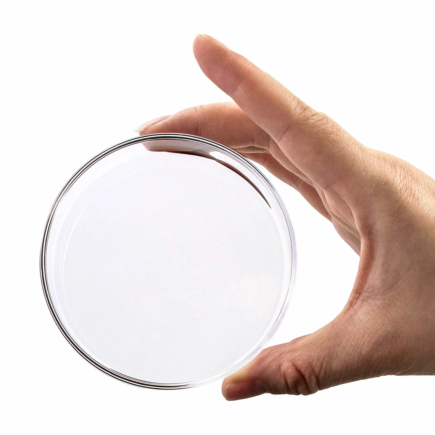 QWORK Placas de Petri de Vidrio Borosilicato 90mm x 20mm 5 Piezas