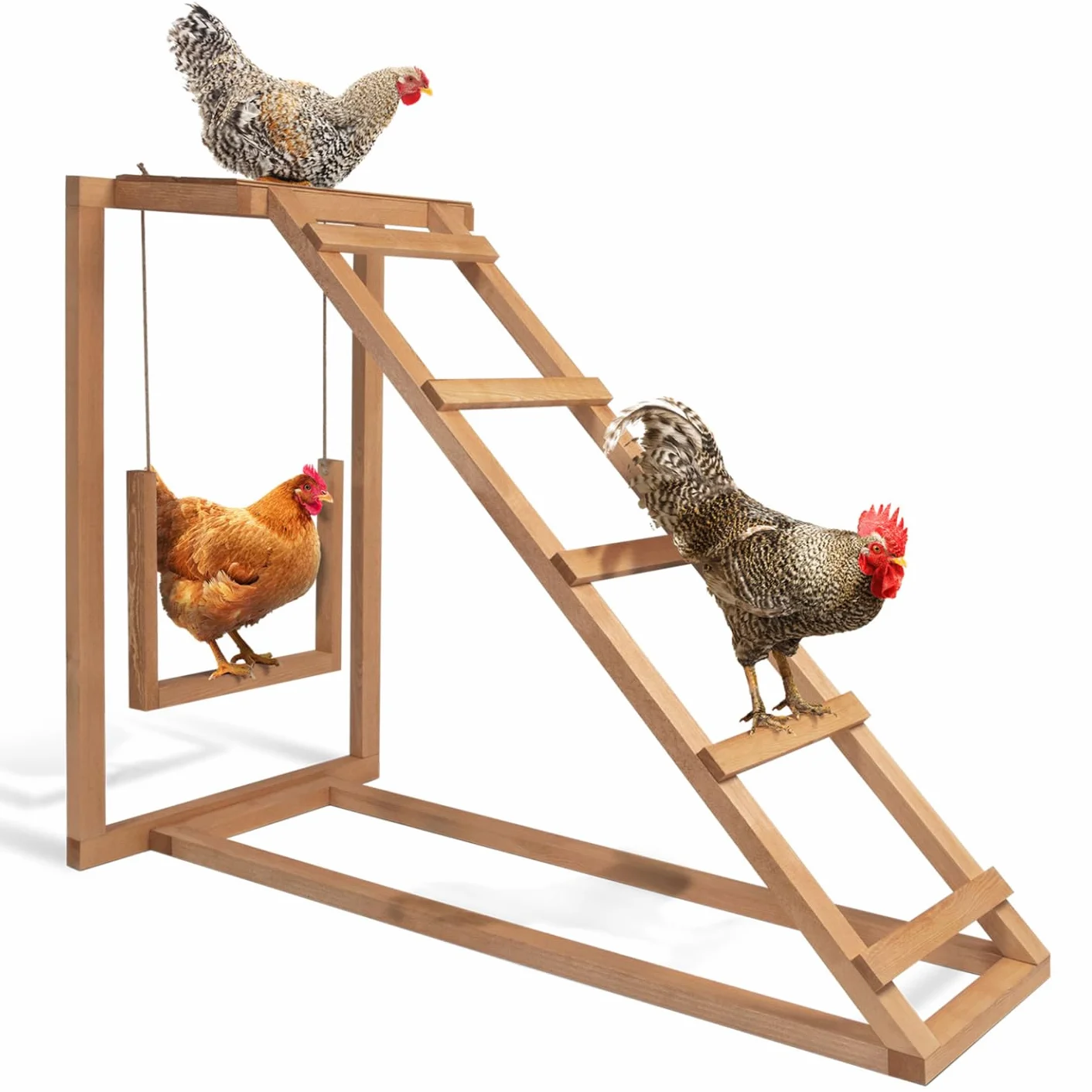 Área de Juegos de Madera para Gallinas con columpio y percha