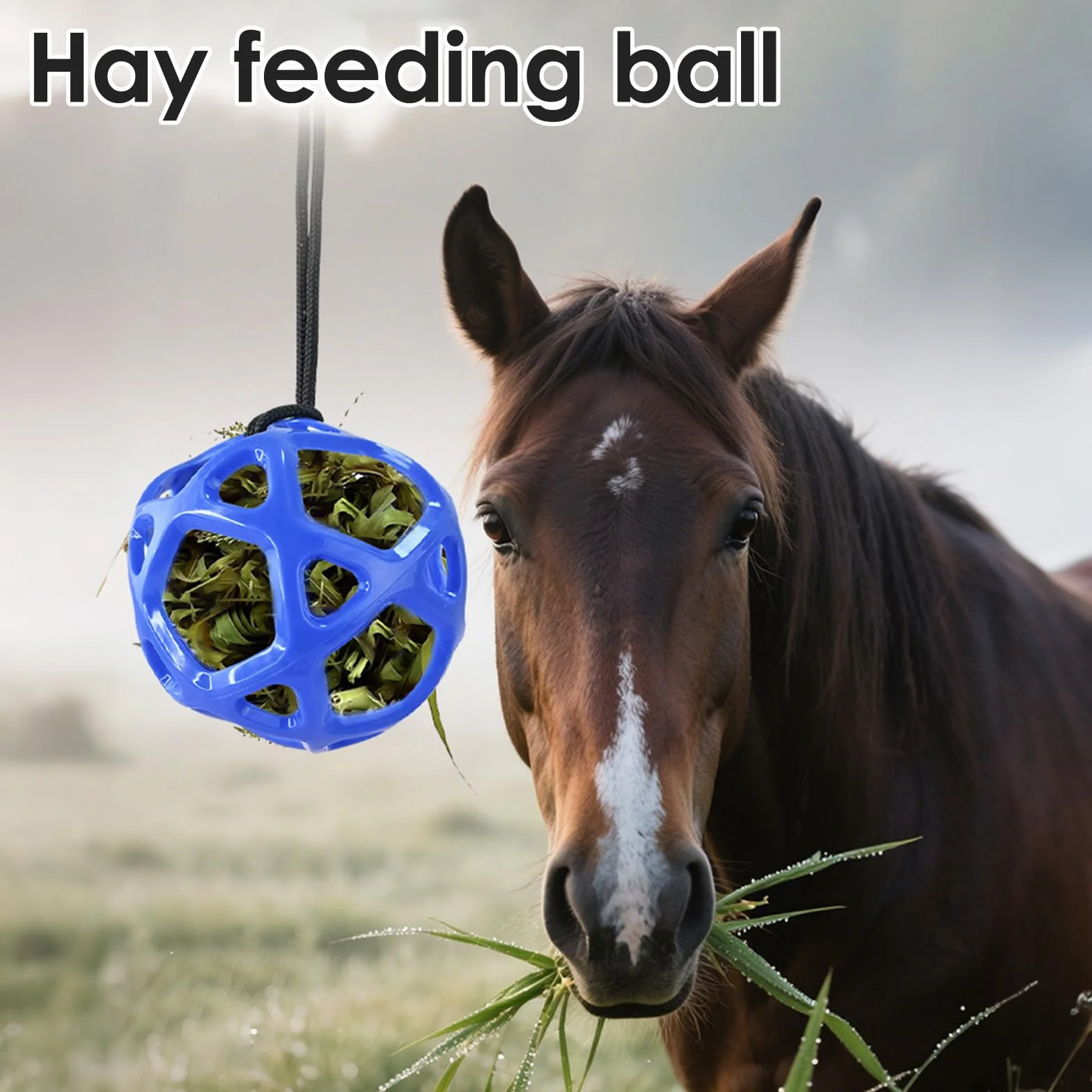 Pelota de juguete para caballos de 19 cm, rellenable con zanahorias, alivio del estrés