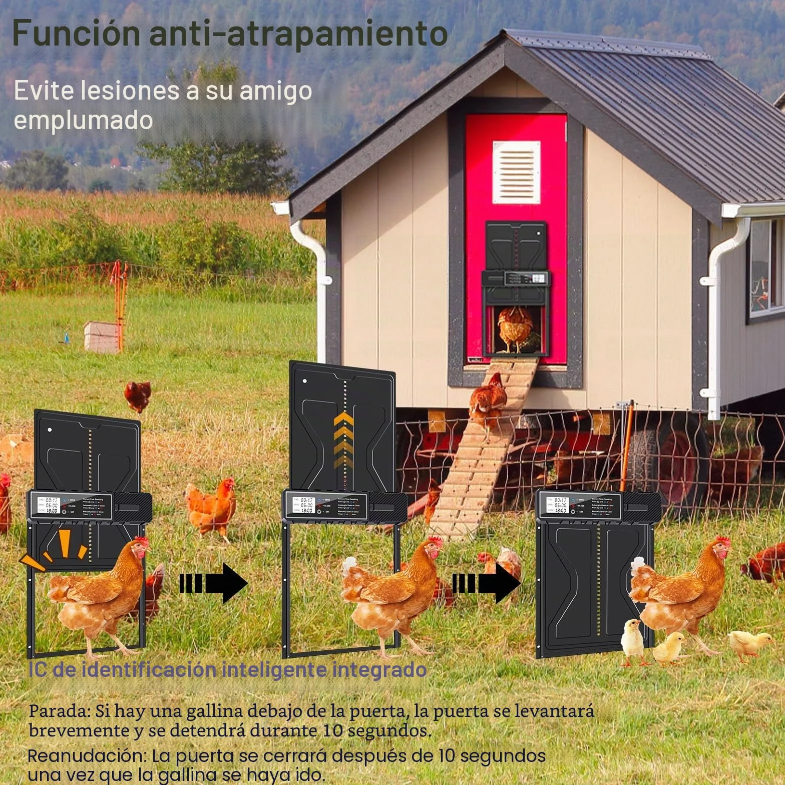 Automatyczna klapa dla kur z aluminium, bateryjna, wodoodporna, duży timer, manualna, inteligentna ochrona