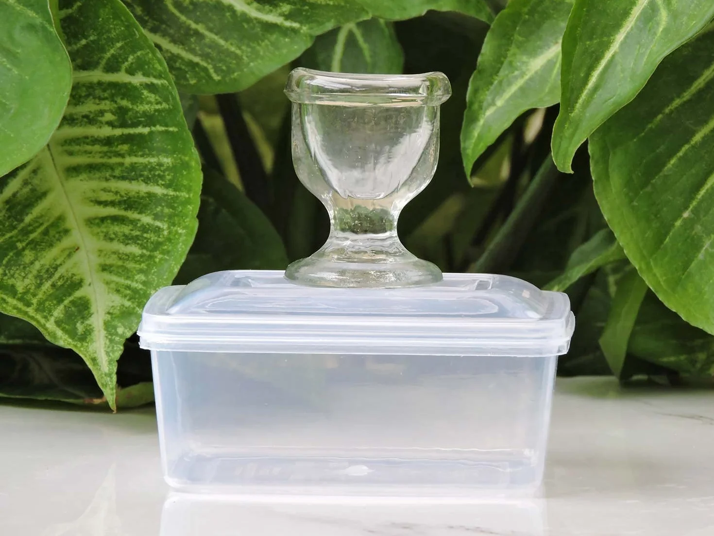 Taza de cristal para lavar los ojos con caja de regalo de terciopelo