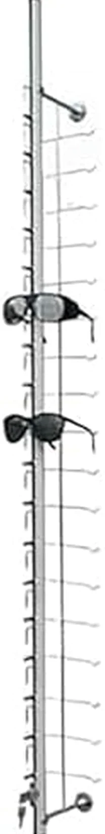CNPRAZ Soporte de Pared para Gafas con Cerradura, Organizador Seguro para Colgar Gafas de Sol y Gafas, solución de Ahorro de Espacio para Tiendas minoristas y Uso doméstico