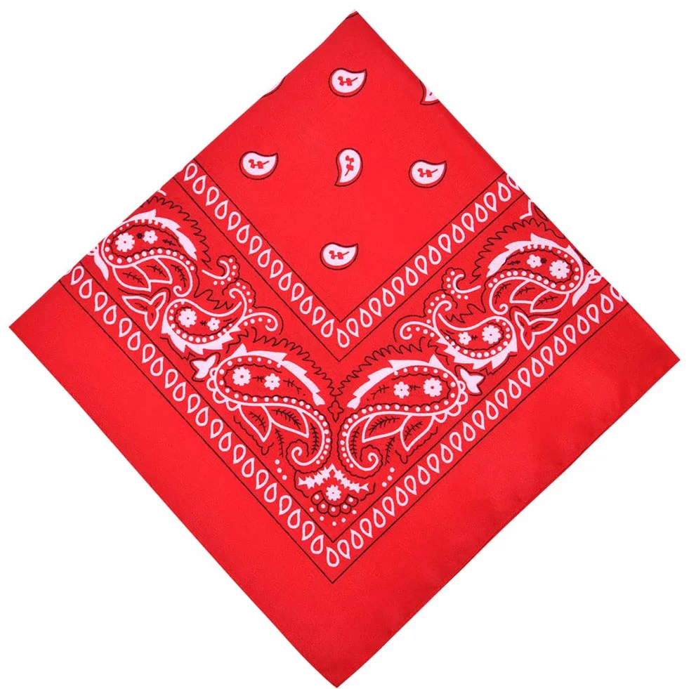Aomig Pañuelos Cabeza Mujer, Pañuelo Pirata con Diseño Único Estampado, Bandana Hombre de Moda y Deporte, Pañuelos de Colores Unisex para Cuello, Cabeza, Muñeca, Adultos y Niños, 54 X 54 cm