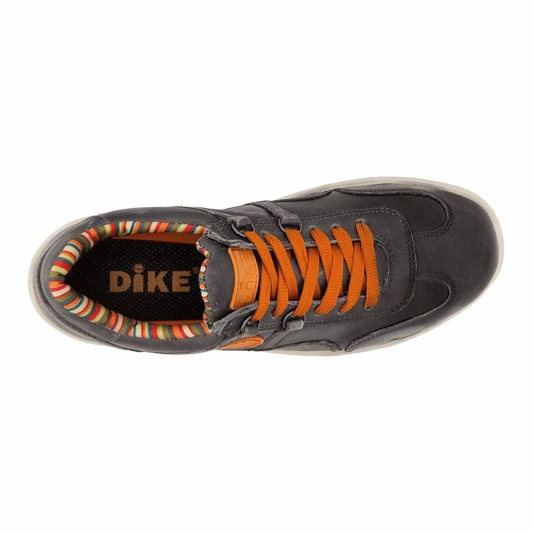 Dike