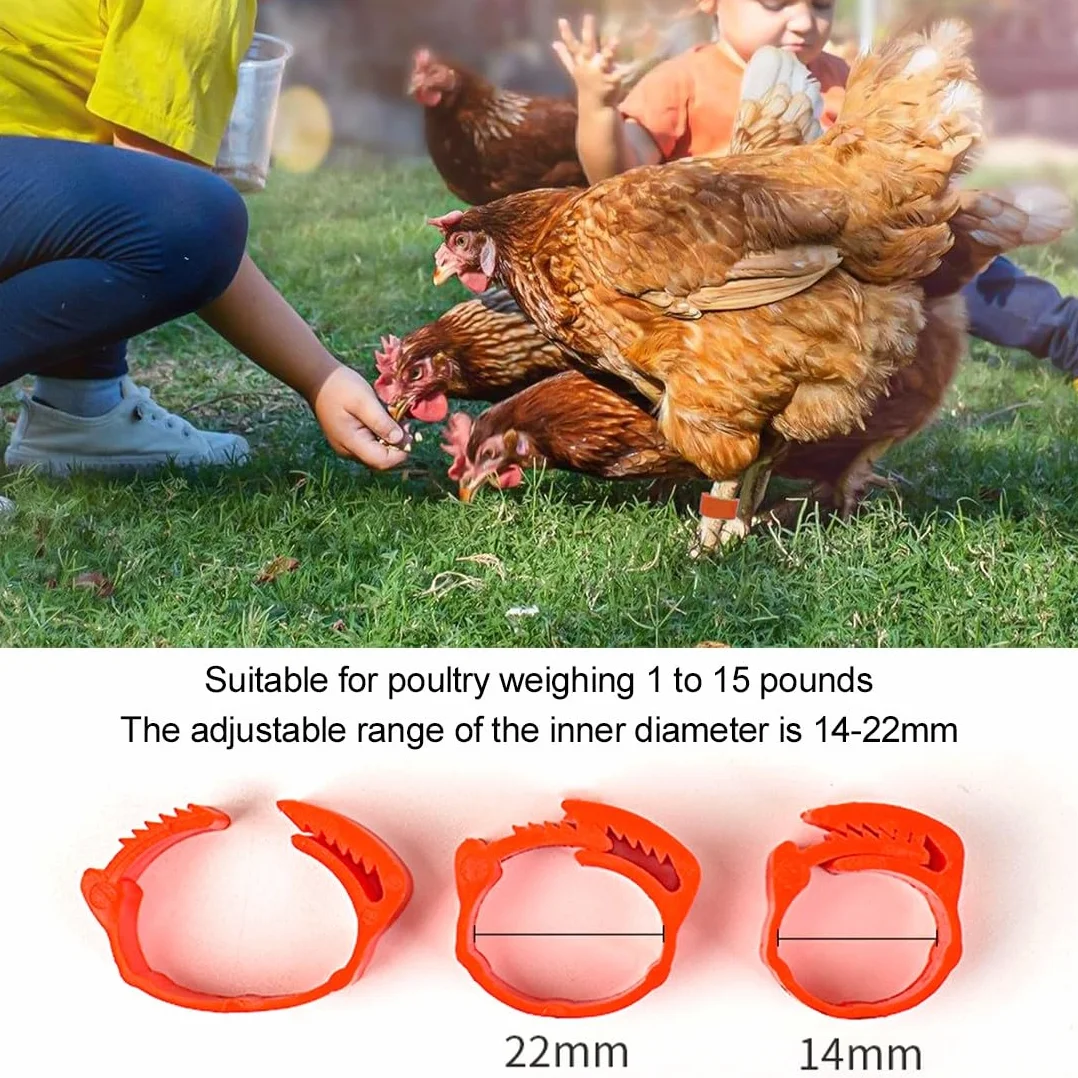 JEYORZY 60 Piezas Anillas para Gallinas, Anillos de Marcado para Pollos, Gansos, Patos