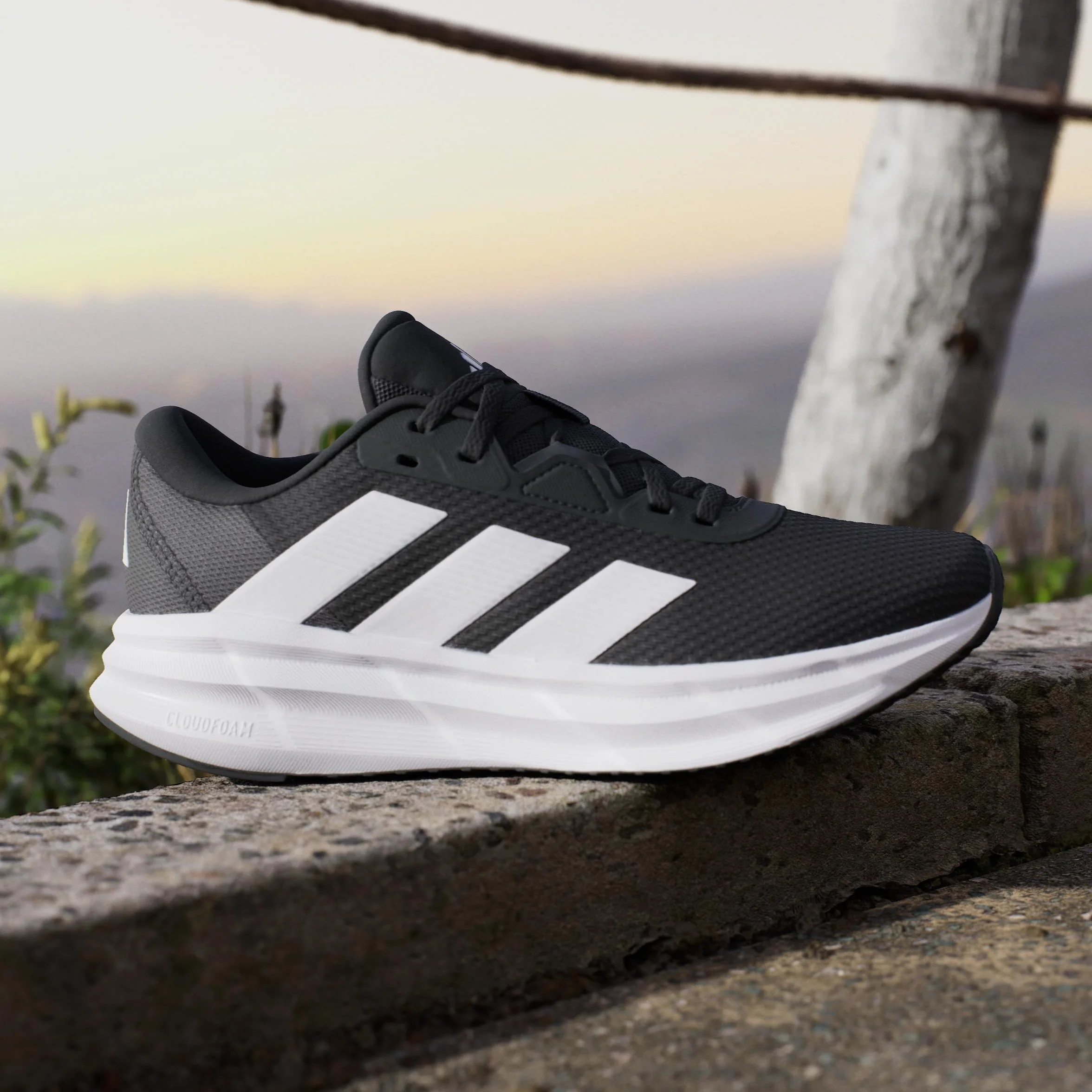 adidas Galaxy 7 Women's Running Shoe