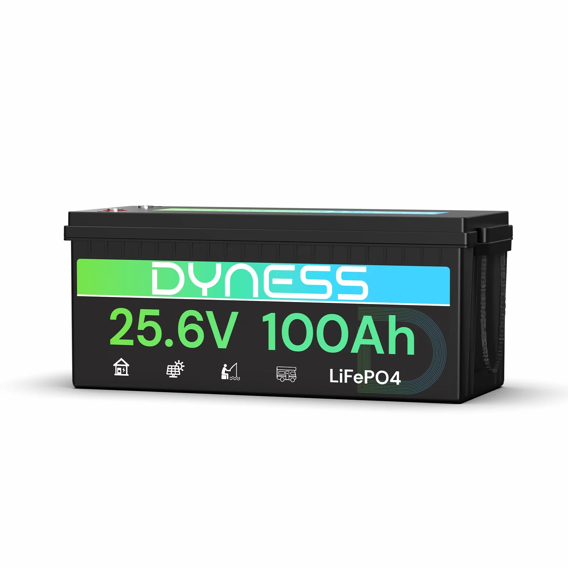 Dyness Batería Litio 24V 100Ah LiFePO4 con BMS 100A Protección Bajas Temperatura para Camper Solar