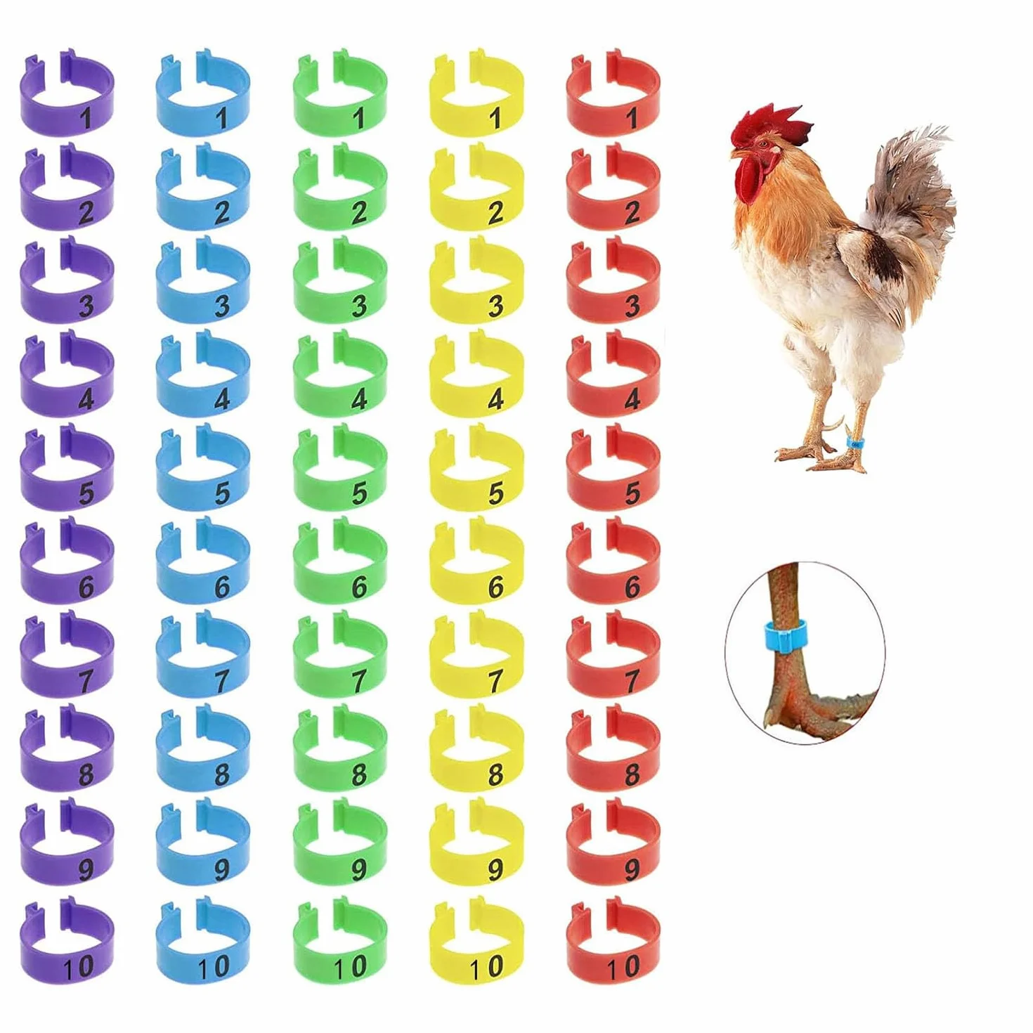 Anillas para Patas de Aves 16mm Multicolor Numeración - Anillos Identificación Gallinas Pavos Patos Gansos Plástico Avicultura