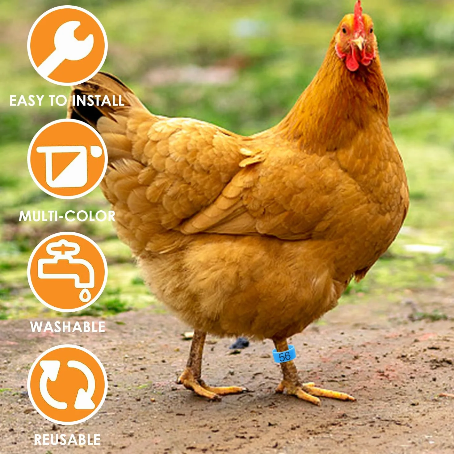 80 Piezas Hebilla de Marcado Digital para Patas de Pollo, Anillo de Plástico para Aves de Corral