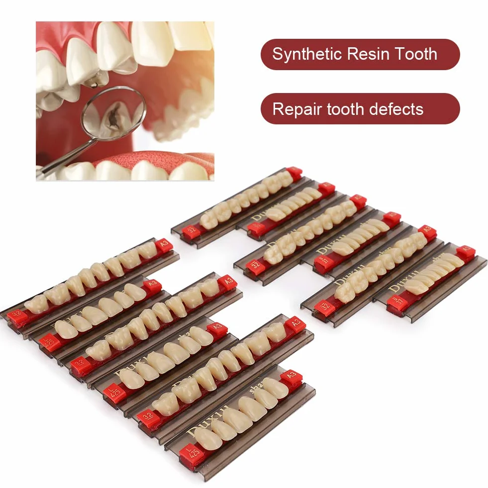Diente de Resina Firme Acabado Fino Superficie de Limpieza Dientes Falsos Profesional para Modelos Halloween