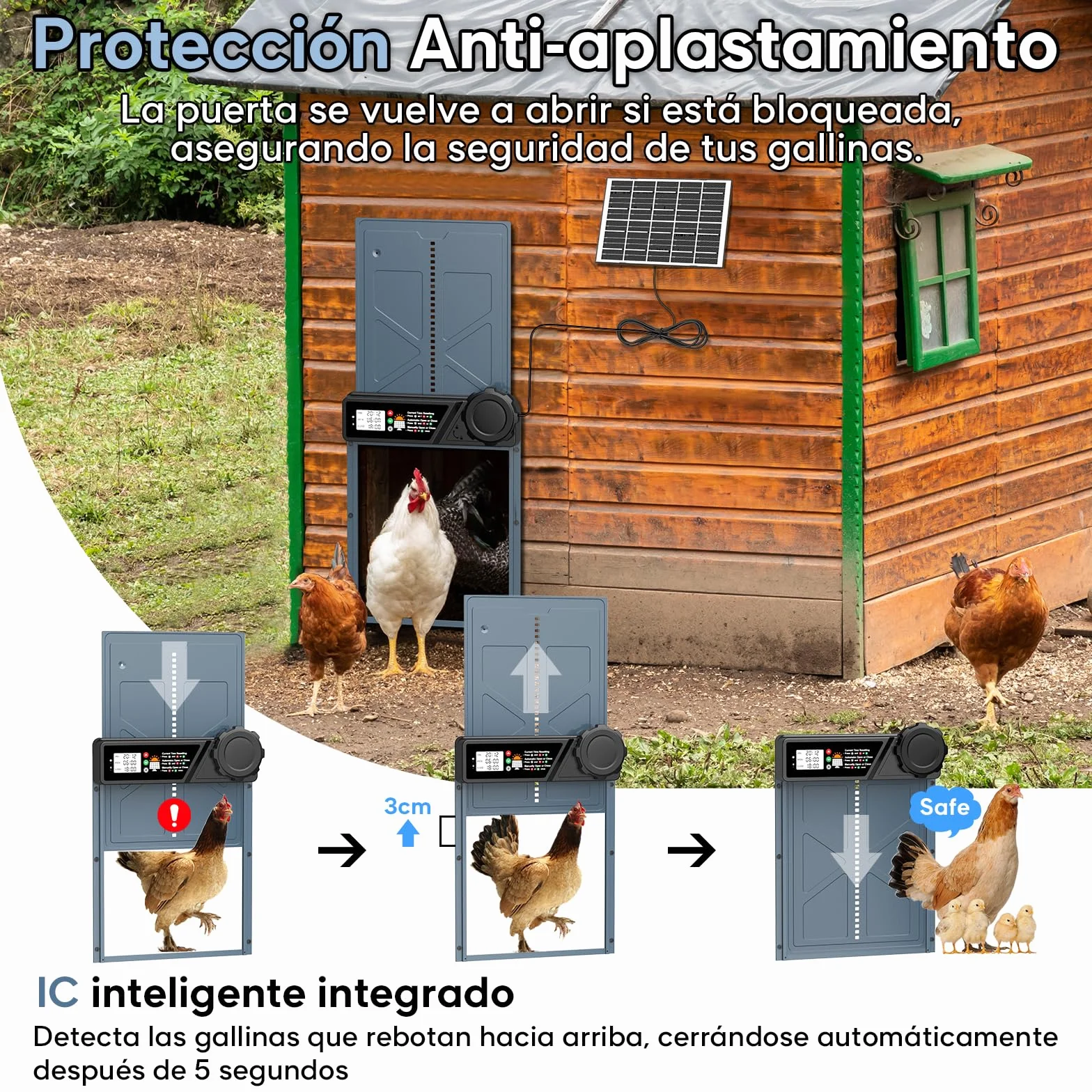 CHAMUTY Puerta automática para gallinero solar con temporizador, panel solar 7W, LCD, mando a distancia