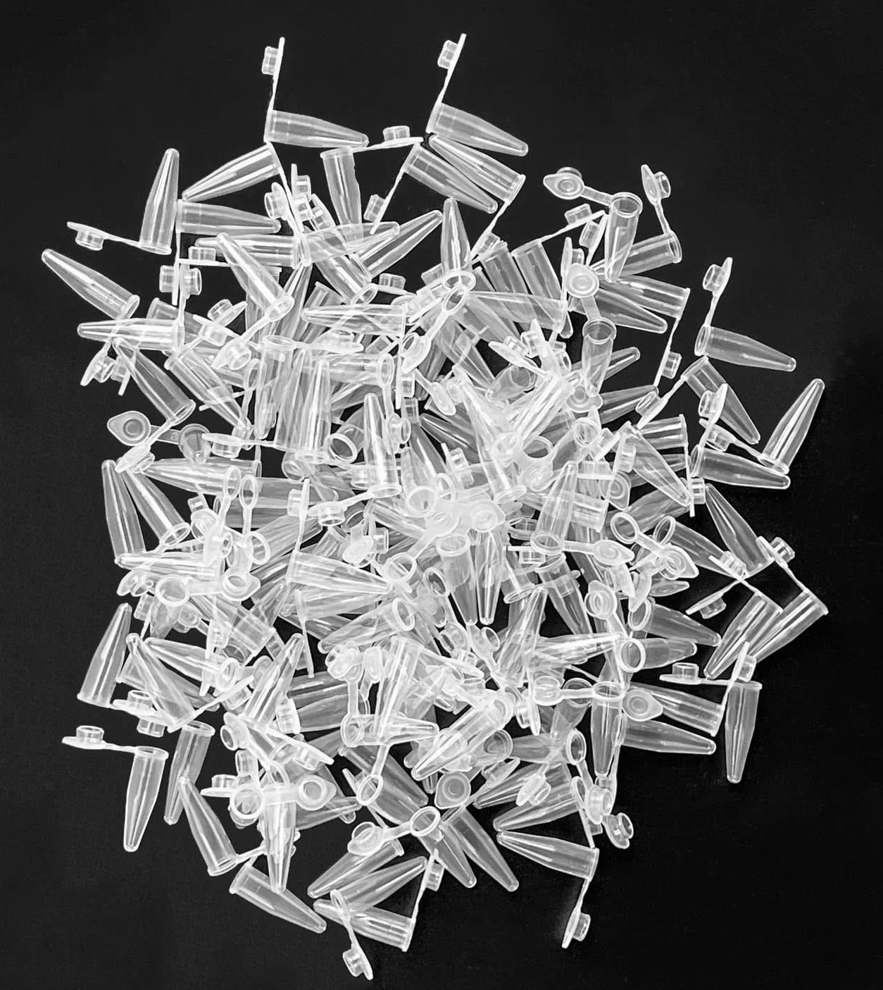 MUHWA Tubos de Microcentrífuga de 2 ml, 1000 Piezas, Graduados con Tapa a Presión