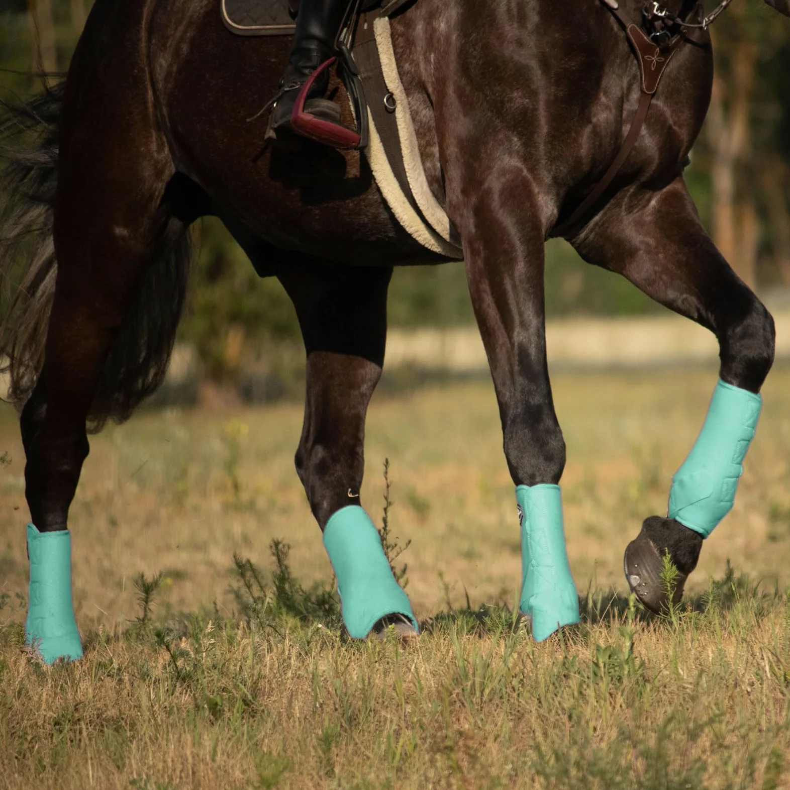 Harrison Howard Botas deportivas de caballo Excelente soporte para patas de caballo valioso paquete de 4