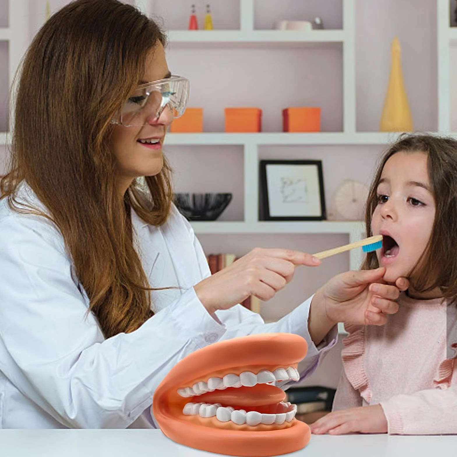 Modelo de Dientes Falsos Portátiles Educativos para Aprendizaje Práctico