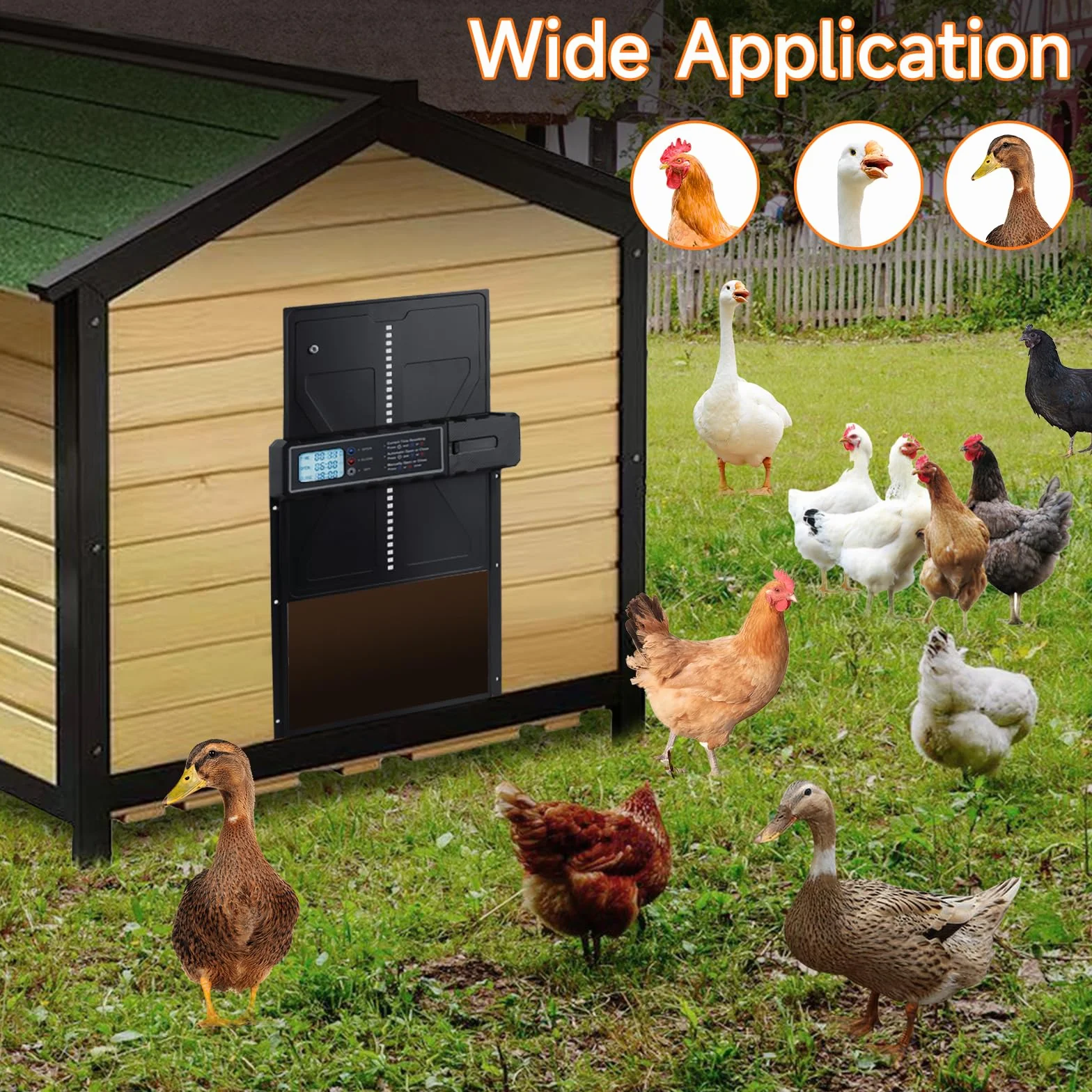 Puerta Automática para Gallinero de Aluminio con Temporizador y Pantalla, Protección Antiatrapamiento